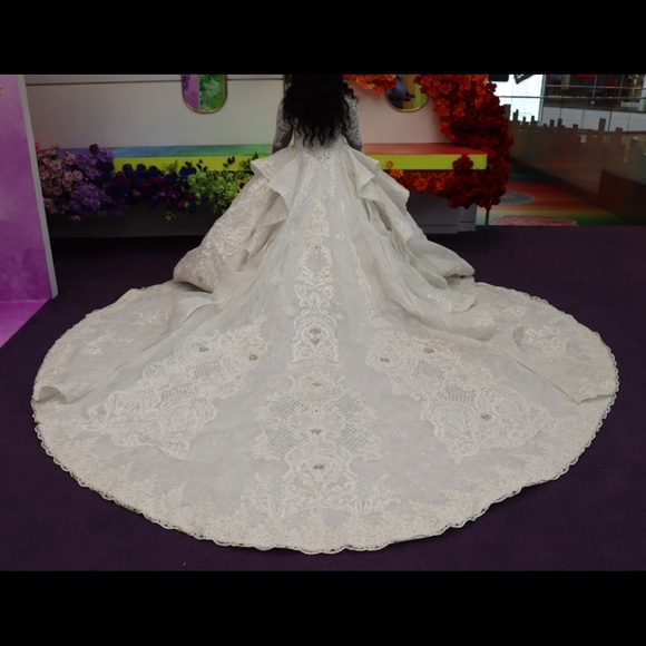 Beautiful Leo Almodal inspired gown with 13 feet + glitter veil with lace edge. - Picture 6 of 7